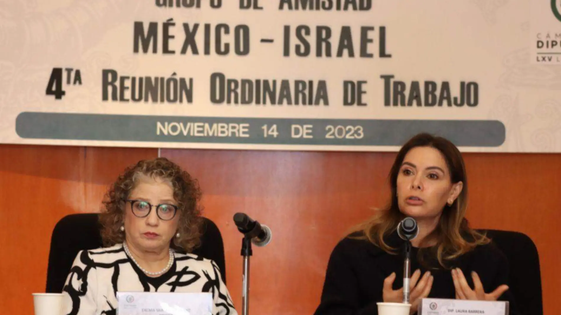 Embajadora de Israel y diputada